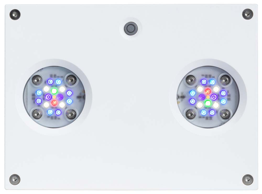 AI Hydra 32 HD Aqua Illumination White LED Lighting w/ Mounting Options - Reef2Land