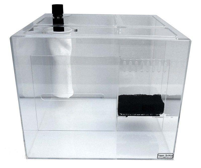 Trigger Systems Crystal Clear Cube 18" - BLEMISH SALE!!! - Reef2Land