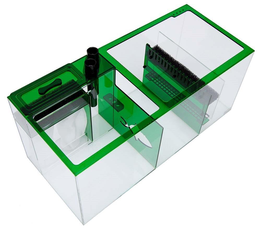 Trigger Systems Emerald Green 34" - Reef2Land