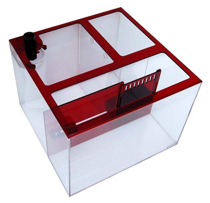 Trigger Systems Ruby Red Cube 20" - BLEMISH SALE!!! - Reef2Land