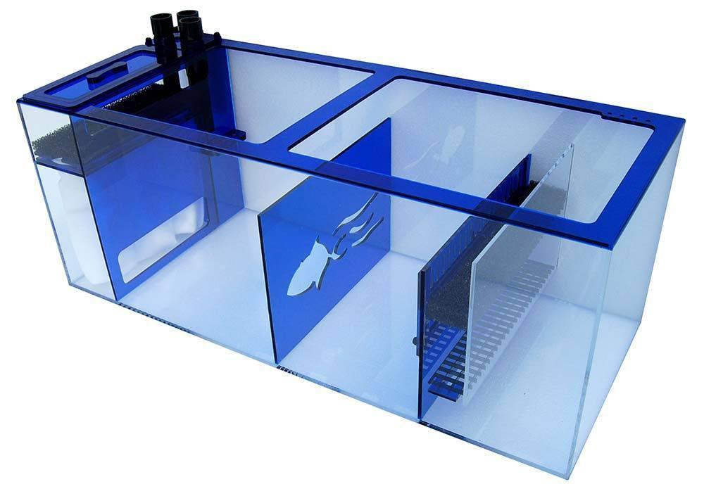 Trigger Systems Sapphire Blue 39" - Reef2Land