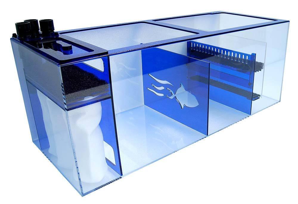 Trigger Systems Sapphire Blue 39" - Reef2Land