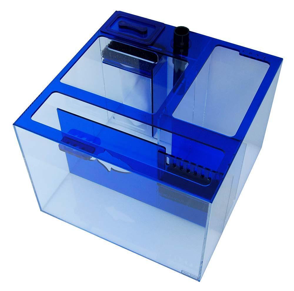 Trigger Systems Sapphire Blue Cube 20" - BLEMISH SALE!!! - Reef2Land